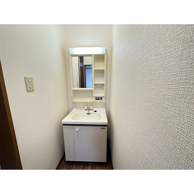 洗面設備　同タイプの部屋の写真です