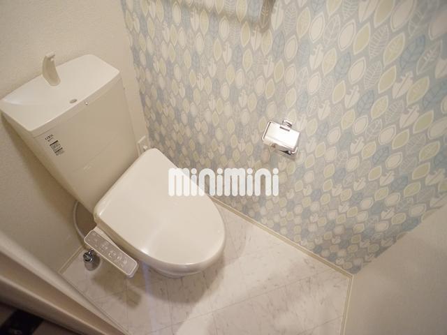 トイレ　トイレです