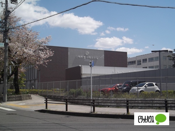 小学校　小牧市立小牧小学校（小学校）まで2059m