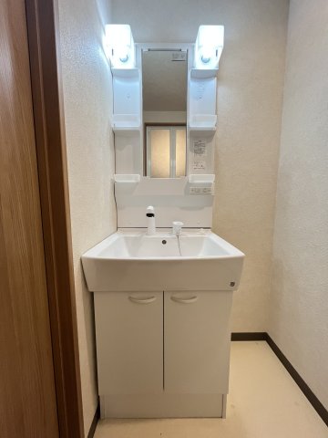 洗面設備　※他号室の写真です。