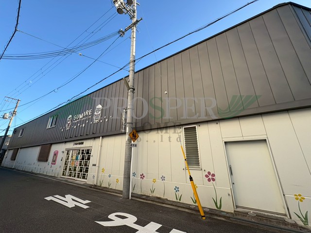 幼稚園・保育園　すみれ幼稚園（幼稚園・保育園）まで1503m