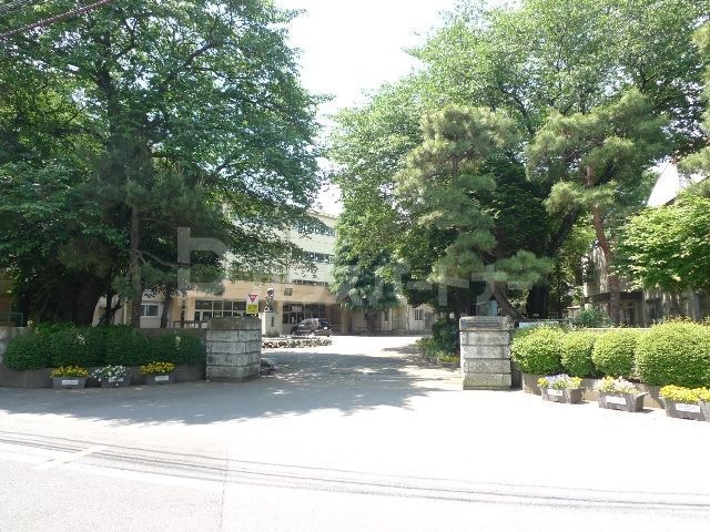 小学校　柏市立柏第三小学校（小学校）まで550m