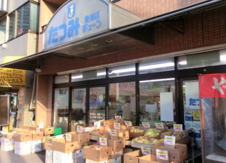 スーパー　たつみチェーン豊洲店（スーパー）まで748m