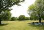公園　武蔵国分寺公園（公園）まで1300m