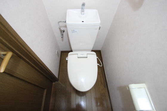 トイレ　※別号室の写真です