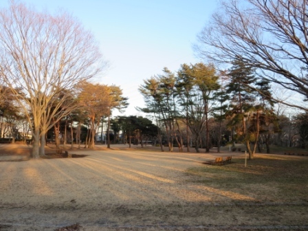 公園　赤塚公園（公園）まで300m