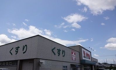 ドラックストア　V・drug守山吉根店（ドラッグストア）まで1127m