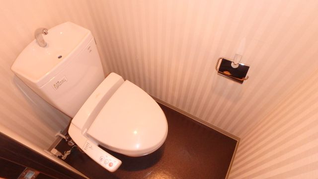 阪急宝塚線 中津駅 徒歩7分 14階建 築20年のトイレ写真