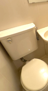 トイレ　トイレです