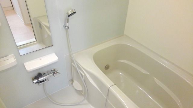 フランIIの風呂写真