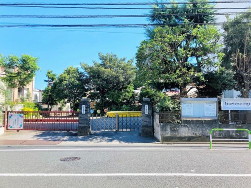 【白山パークマンションの幼稚園・保育園】