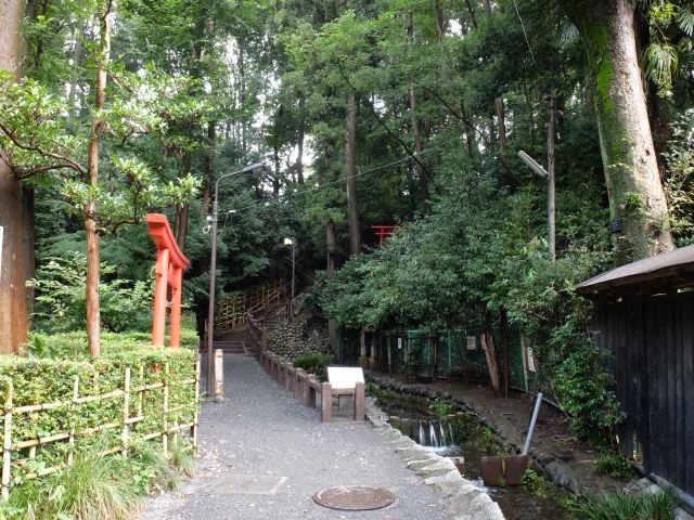その他　お鷹の道真姿の池湧水群（その他）まで320m