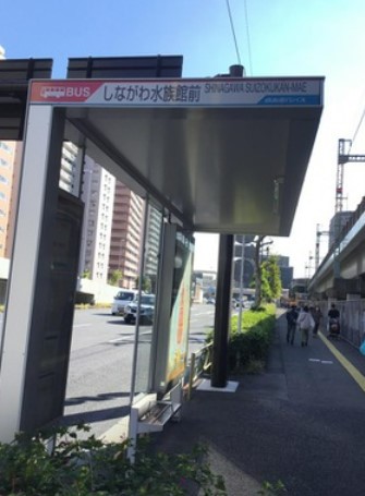 コンビニ　セブン-イレブン しながわ水族館西店（コンビニ）まで244m