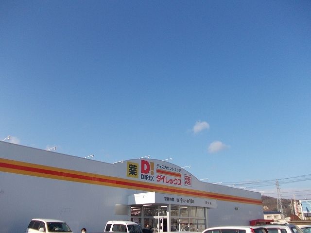 その他　ダイレックス府中店（その他）まで1100m