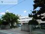 小学校　新潟市立牡丹山小学校（小学校）まで457m