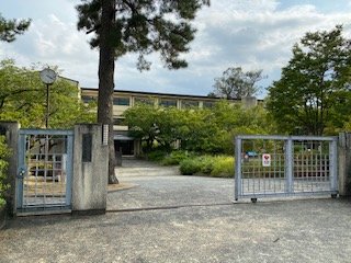 中学校　西宮市立甲陵中学校（中学校）まで1081m