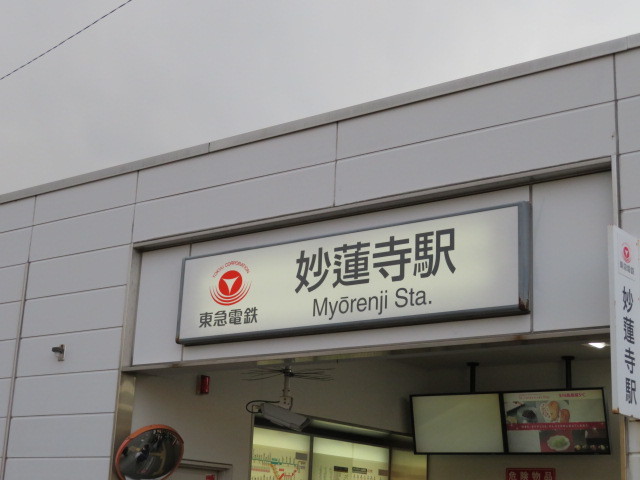 その他　妙蓮寺駅(東急 東横線)（その他）まで1024m