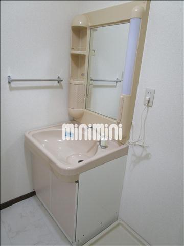 洗面設備　広めの洗面台。