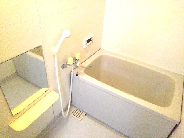 ルネサンスの風呂写真
