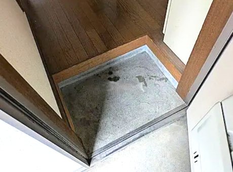 玄関　玄関です