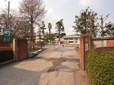 小学校　宇都宮市立細谷小学校（小学校）まで336m