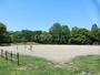公園　光が丘公園（公園）まで272m