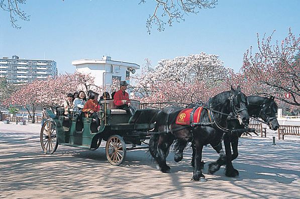 【世田谷区弦巻のマンションの公園】