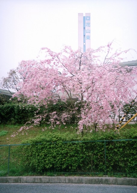 【ＵＲ花山東のその他共有部分】