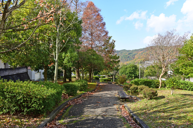 【ＵＲ花山東の公園】