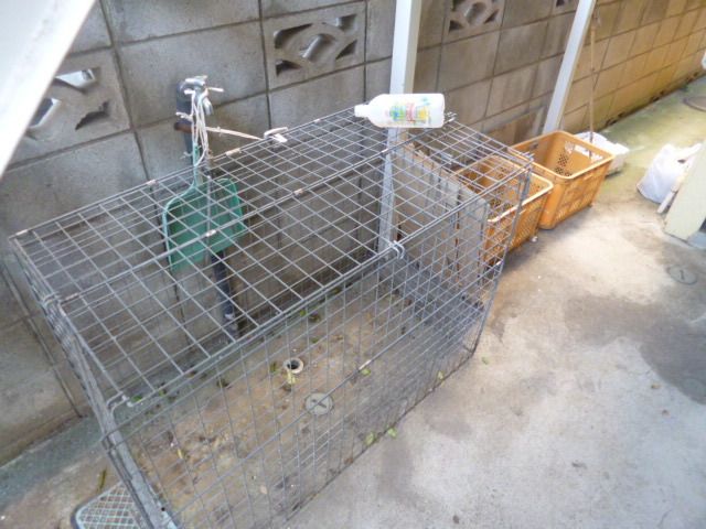 その他共有部分　★お問い合わせはタウンハウジング聖蹟桜ヶ丘店まで★