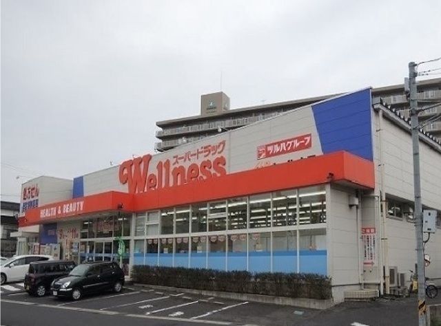ドラックストア　ウェルネス橋南店（ドラッグストア）まで700m