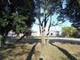 公園　角田公園（公園）まで1107m