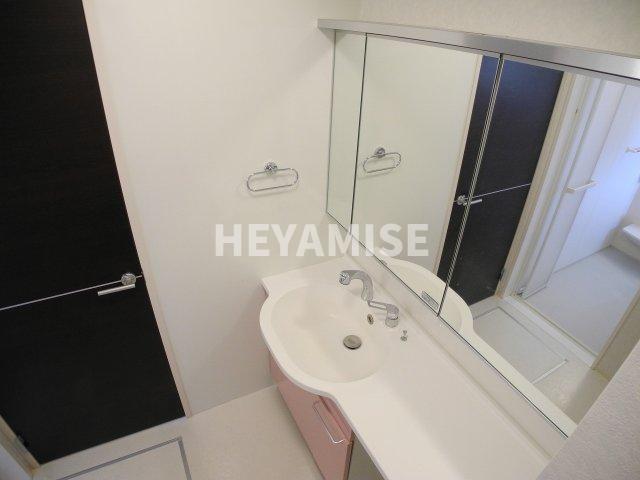 洗面設備　※室内画像は別号室(反転)