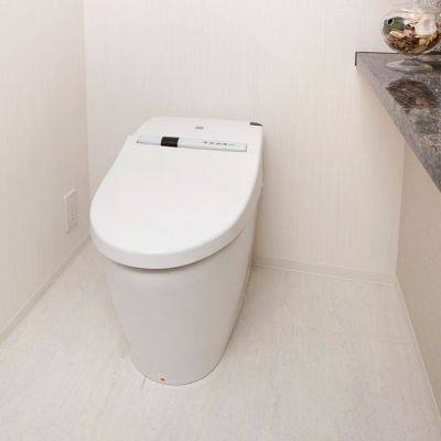 トイレ　※別部屋の参考写真です。