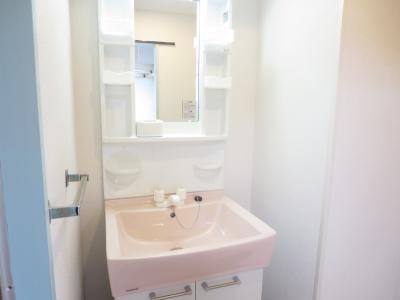 洗面設備　他部屋参考写真