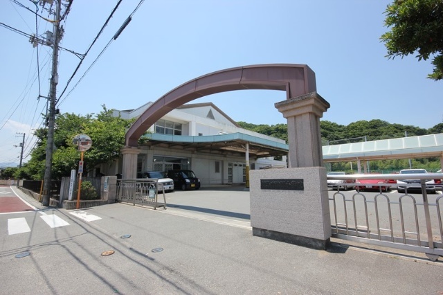 小学校　徳島市立津田小学校（小学校）まで445m