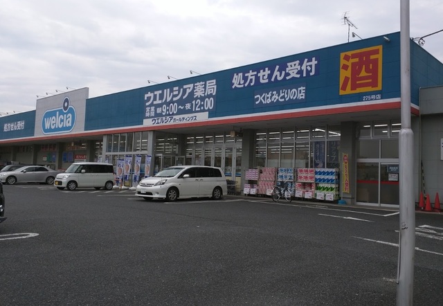 ドラックストア　ウエルシア　みどりの店（ドラッグストア）まで1000m
