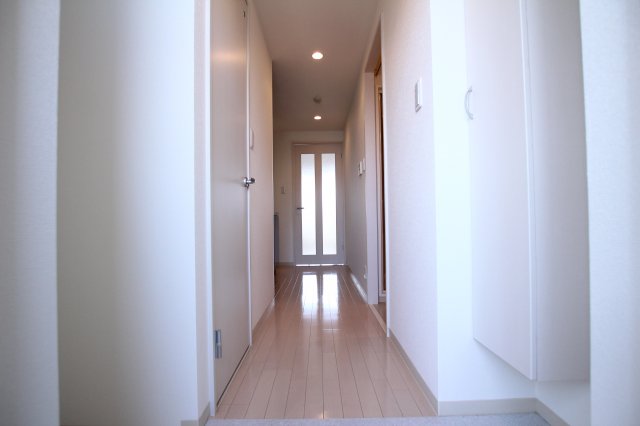 玄関　シューズボックス