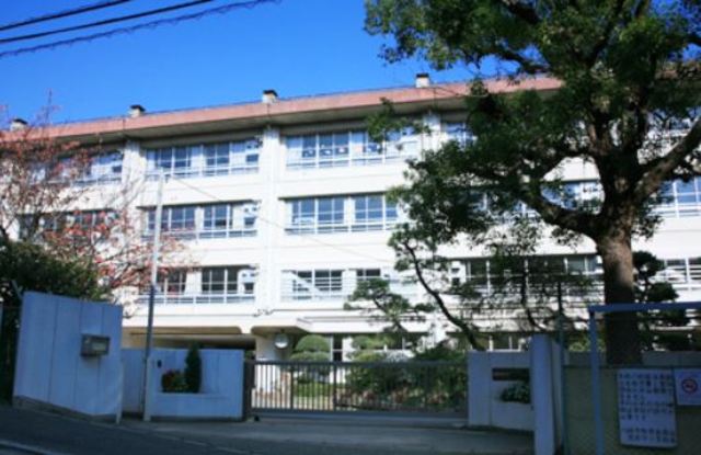 小学校　川崎市立宮前平小学校（小学校）まで619m