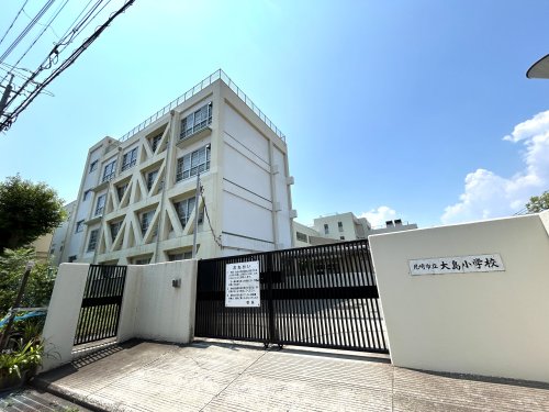 小学校　尼崎市立大島小学校（小学校）まで807m