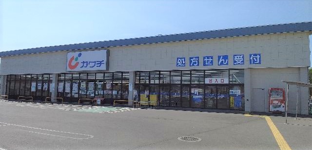 ドラックストア　カワチ薬品城内店（ドラッグストア）まで1261m