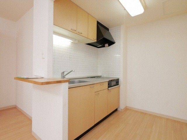 キッチン　※写真は別号室です。