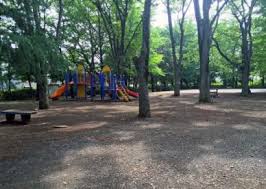 公園　赤塚新町公園（公園）まで894m