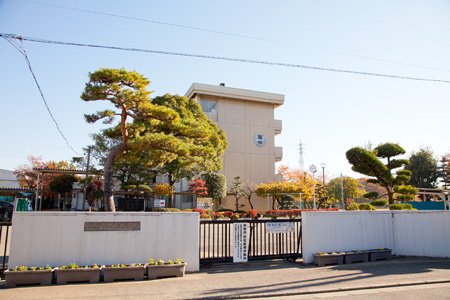 中学校　上尾市立南中学校（中学校）まで543m