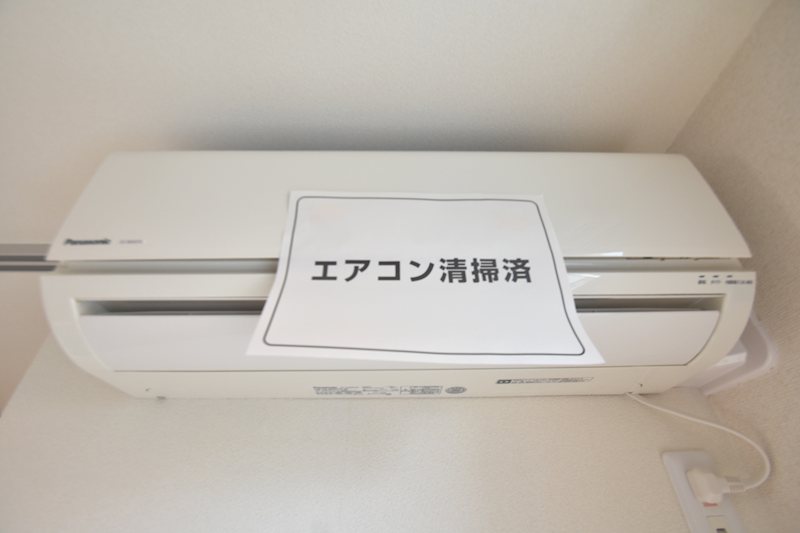 メルシーのその他写真