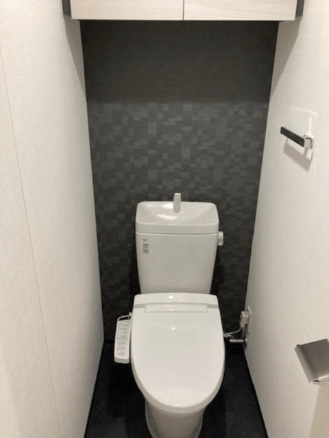 S-RESIDENCE菊川rivieのトイレ写真