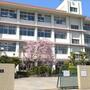 高校・高専　大阪府立桜塚高等学校（高校・高専）まで651m