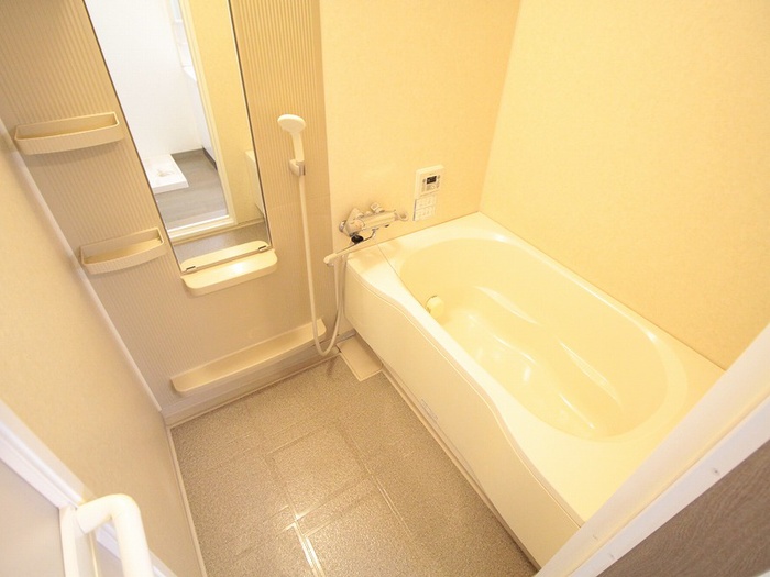 Maison Bani Koriの風呂写真