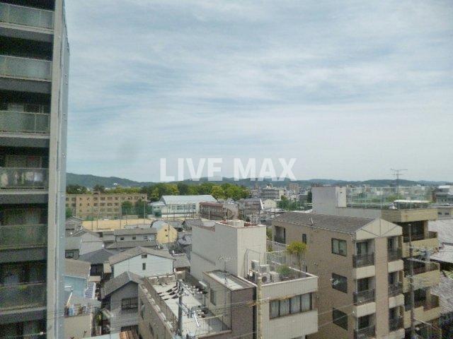 眺望　※別部屋のお写真になります