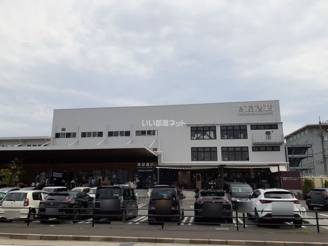 飲食店　蔦屋書店（飲食店）まで1296m